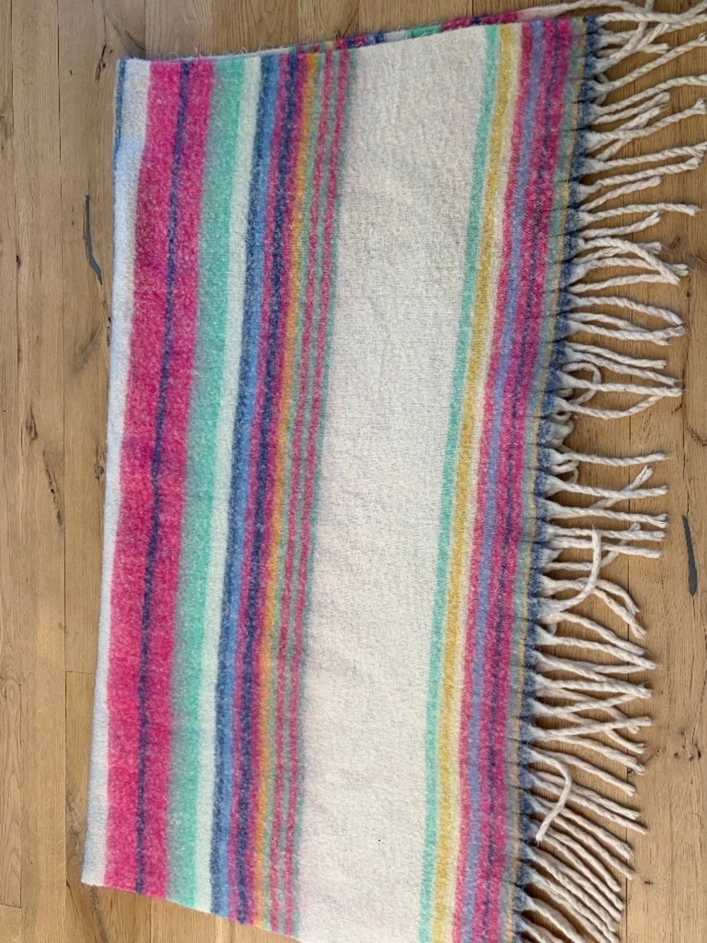 WE THE FREE People Skye Stripe Fringe Throw Blanket